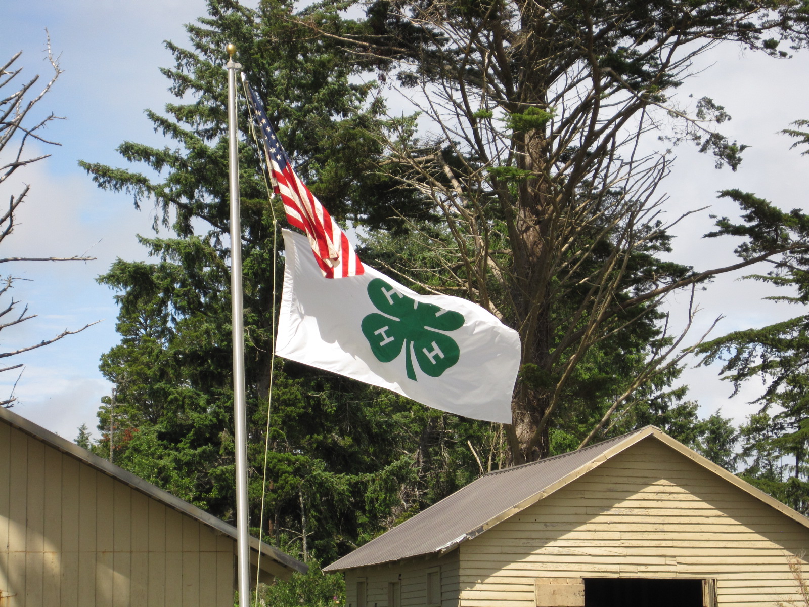 American and 4-H flag on pole at camp