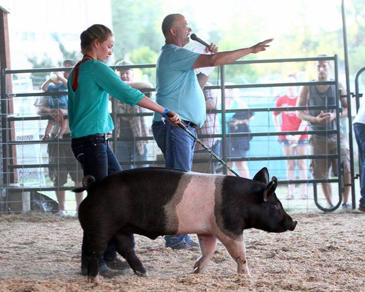 Girl showing black and pink pig