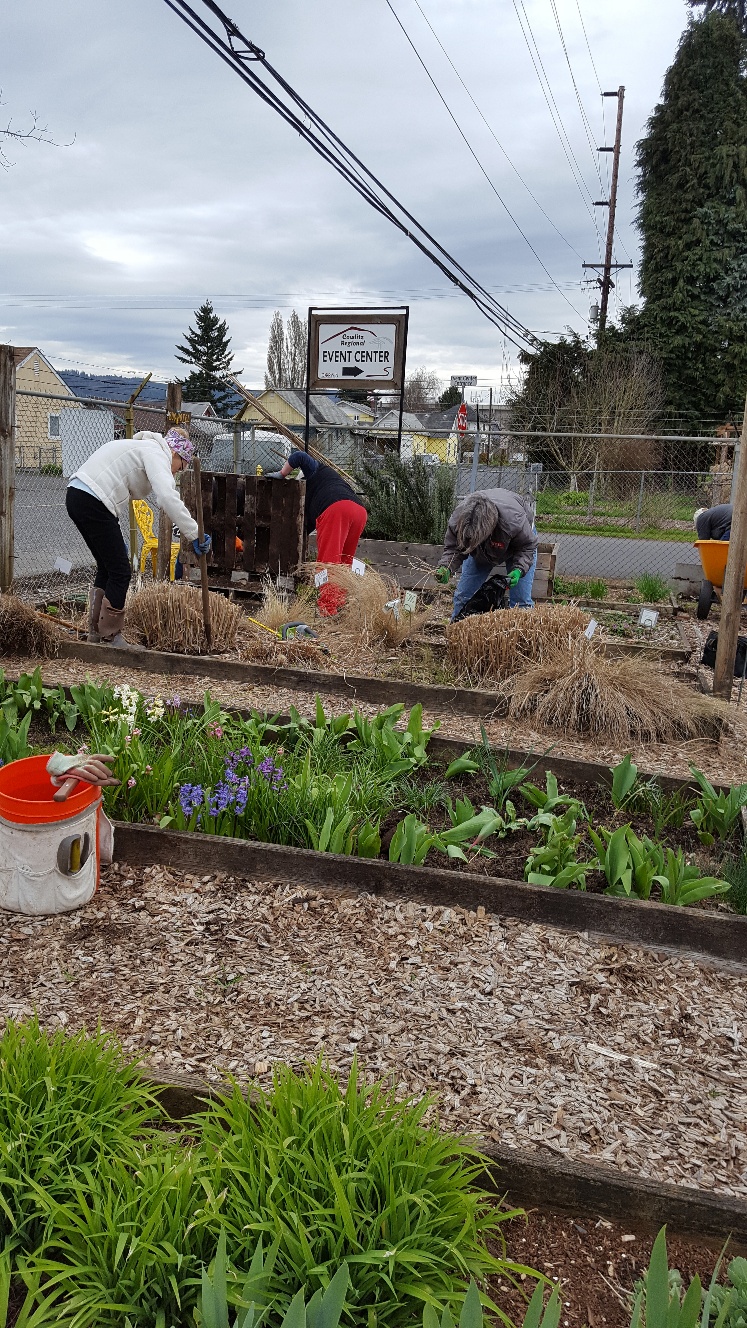 Master gardeners working in the flower beds.