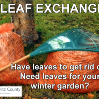 Bagged leaves and rack