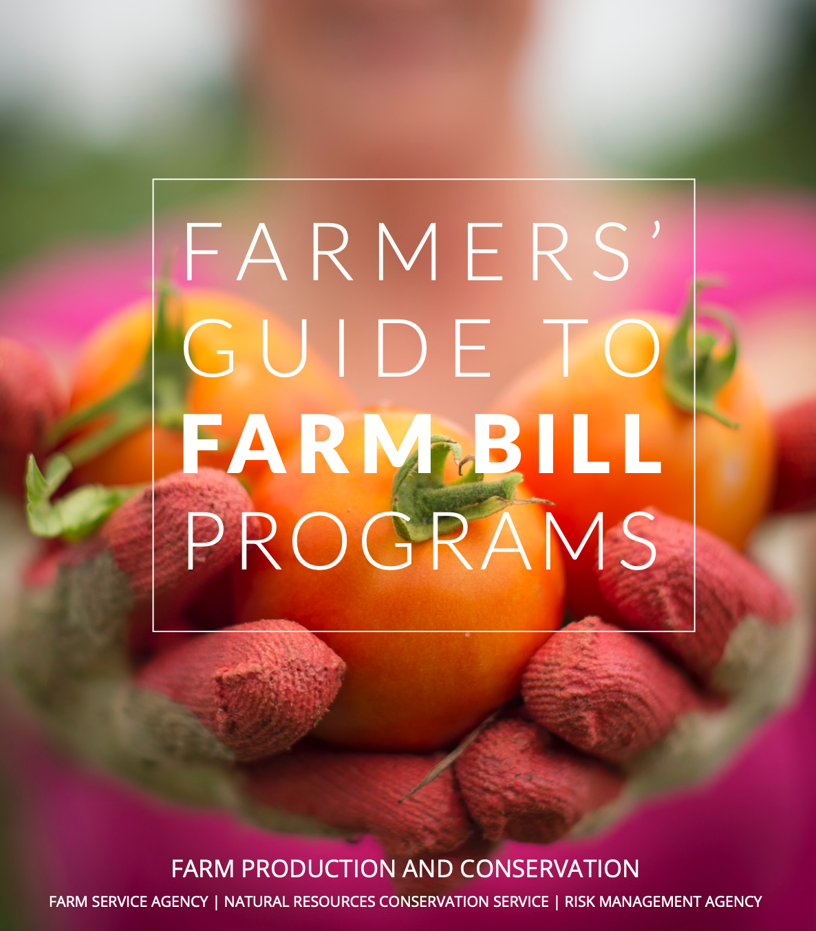 Farm Financing | Regional Small Farms | Washington State University