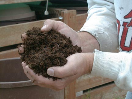 Hands holding healthy soil