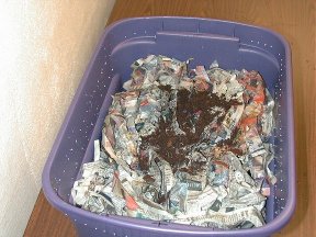 bin with newspaper and grit