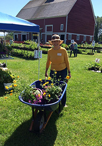 Wheelbarrow full of plants at the Plant Sale