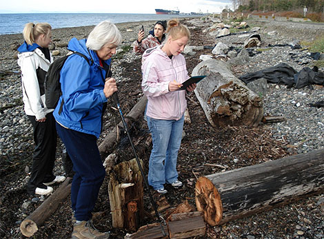 Surveying Creosote Logs on the Coast