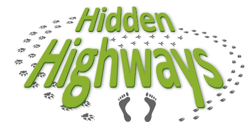 Hidden Highways