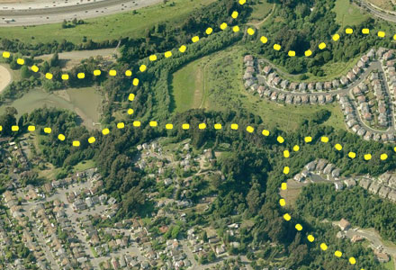 Ariel of corridors used by wildlife