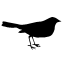 Small Bird silhouette