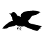 Bird silhouette