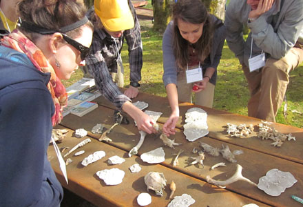 Examining Tracks and Talons