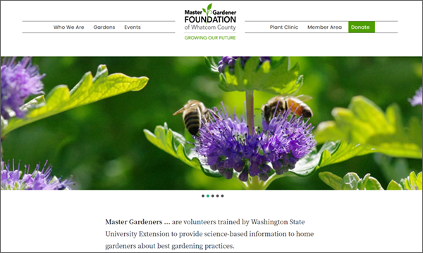 Snapshot of MG Foundation website