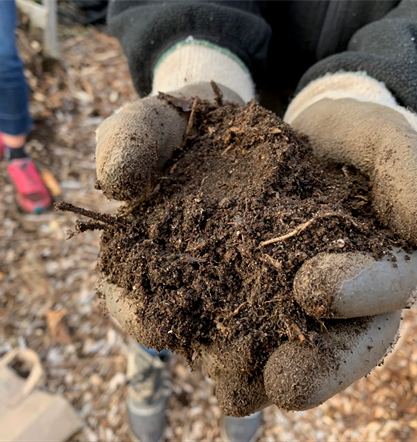 Compost in gloved hands