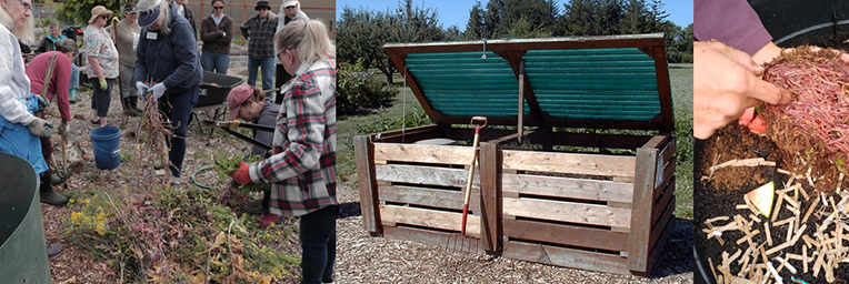 people composting and compost box