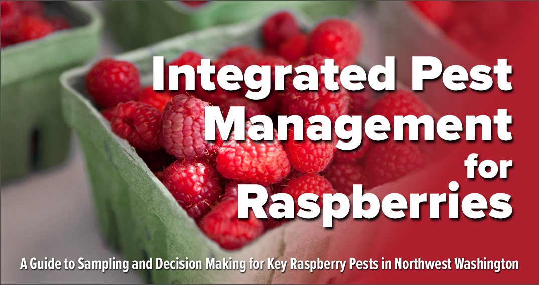 IPM for Raspberries