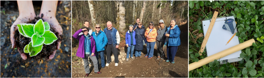 hands holding soil and plant, people standing in front of a forest, a clipboard with graph paper, tape measure, and ruler