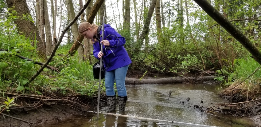 Woman in blue jacket in a creek with a pole.