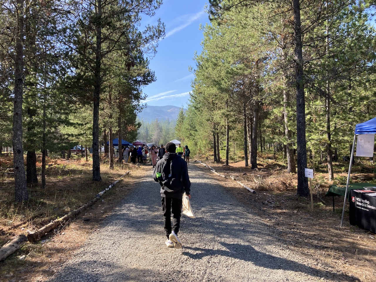Participants walking on forest road