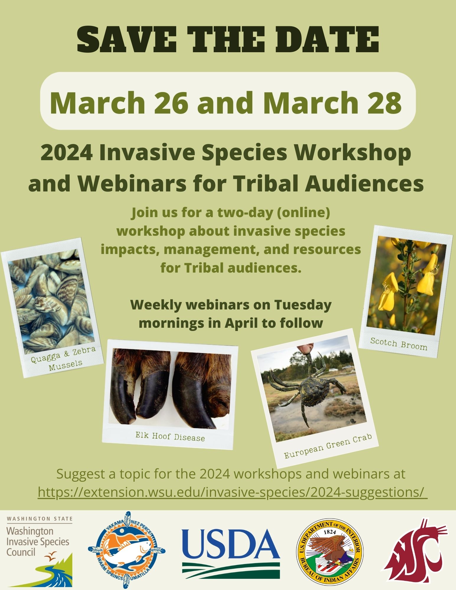 Link 2024 Online Invasive Workshop for Tribal Audiences March 26 and March 28.