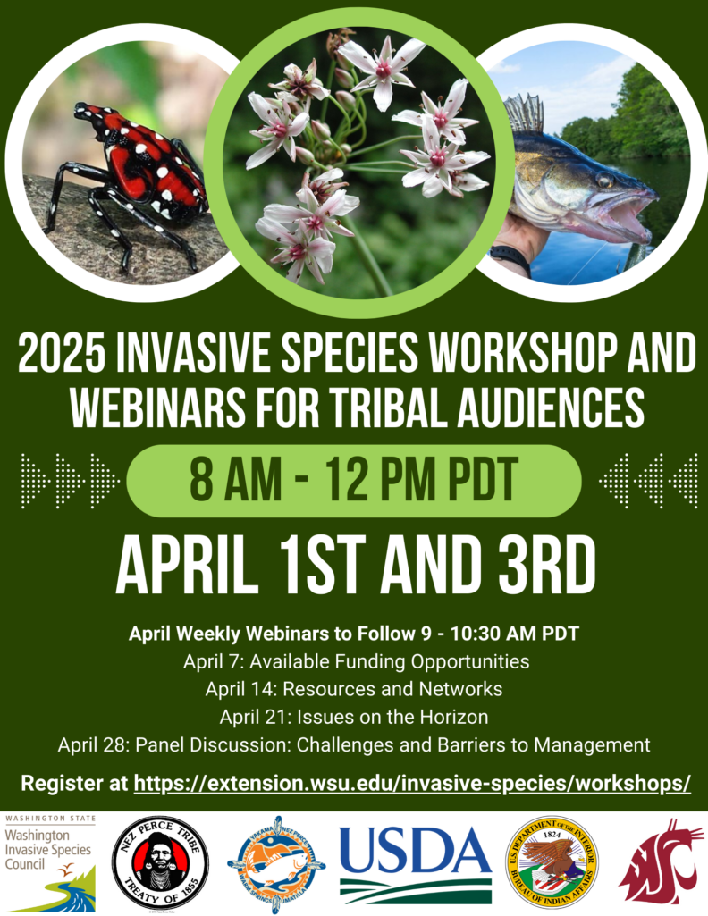 2025 Invasive Species Workshop and Webinars for Tribal Audiences flyer