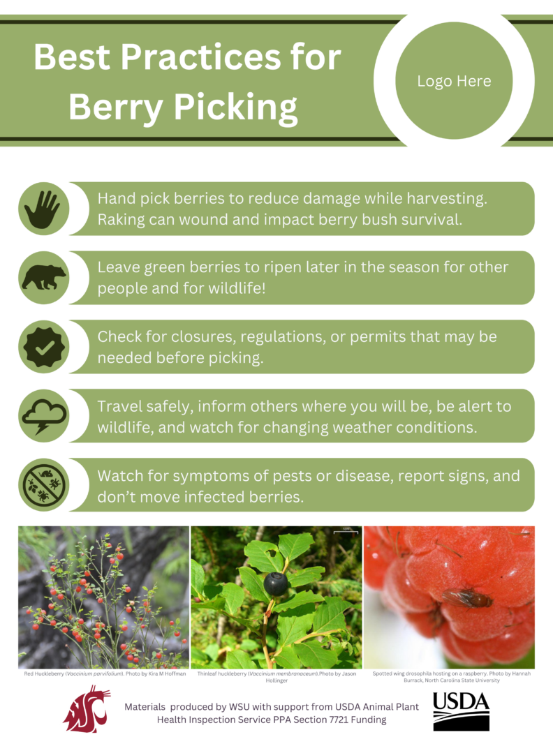Best practices for Berry Picking flyer