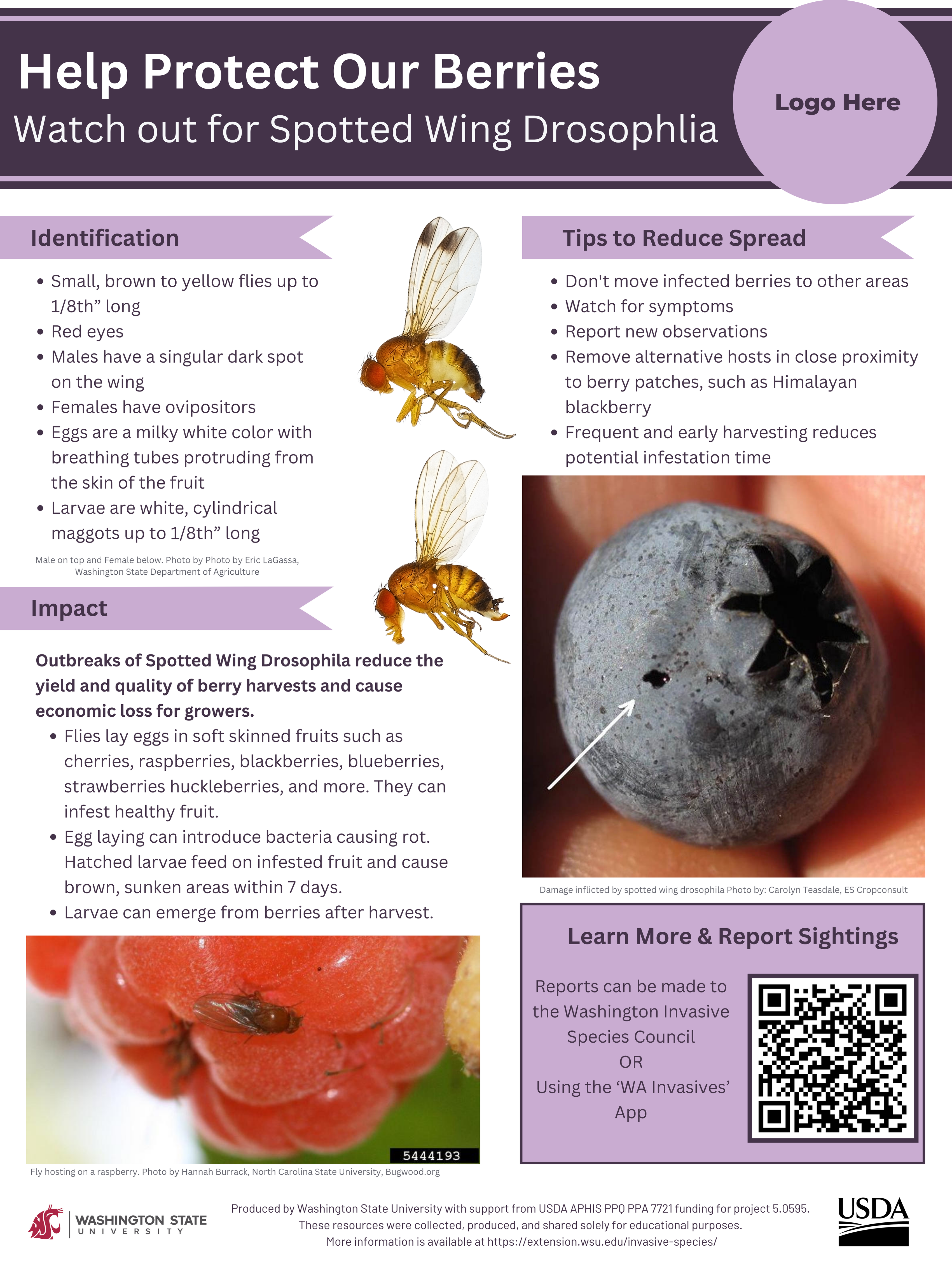 Help Protect Our Berries flyer