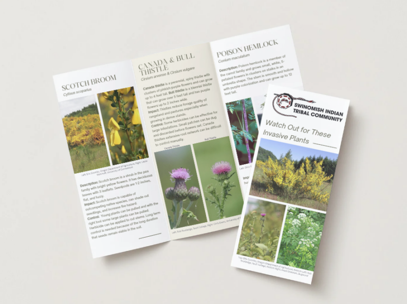 examples of our programs pamphlets