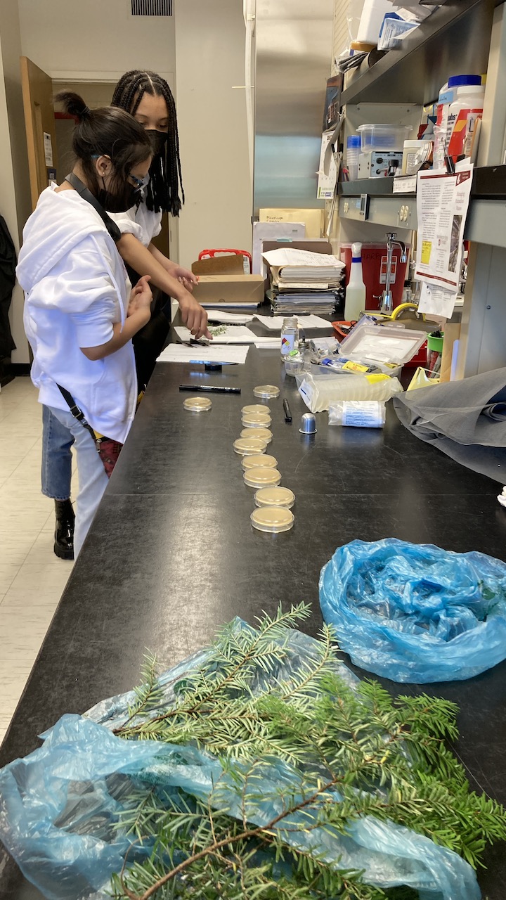 Lab Seward Hemlock Students