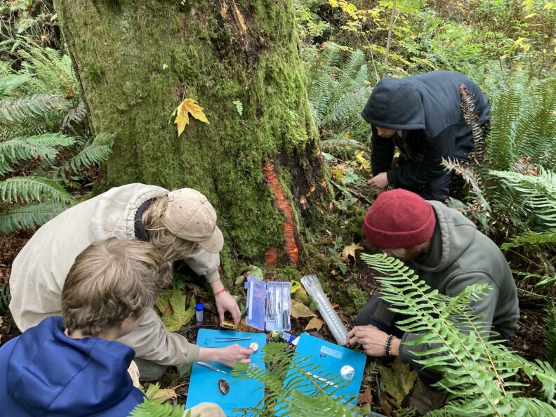 Washington Conservation Corps