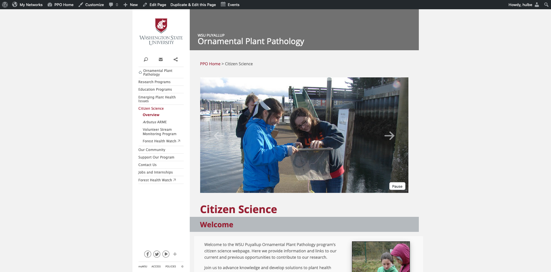 PPO Webpage Screenshot