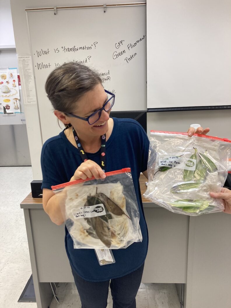 Faculty at Pierce College