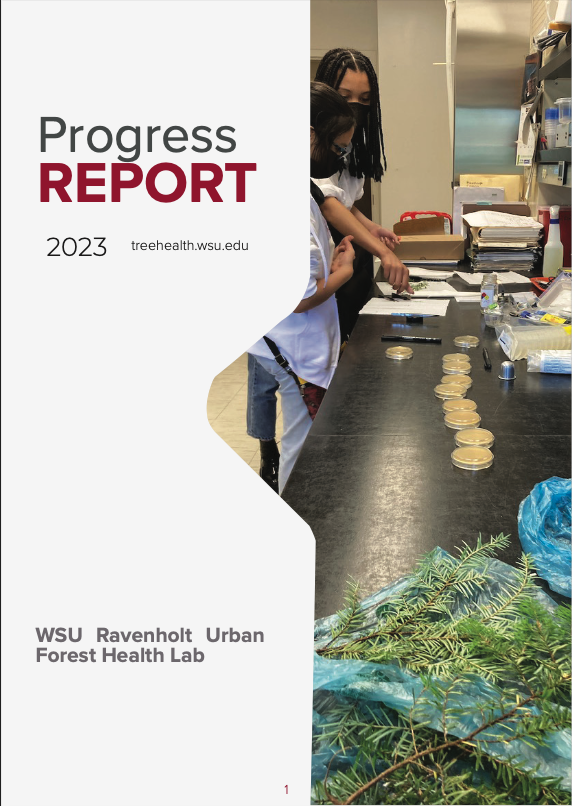 Ravenholt 2023 Progress Report