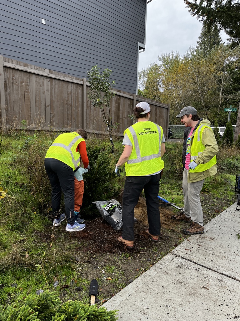 Tacoma Tree Foundation volunteers planting