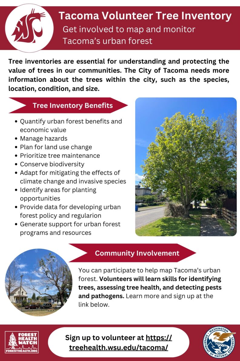 Tacoma Volunteer Tree Inventory