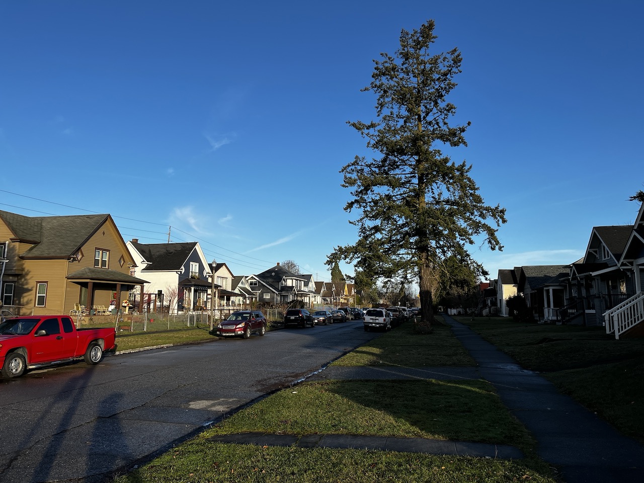 Plantable space in Tacoma