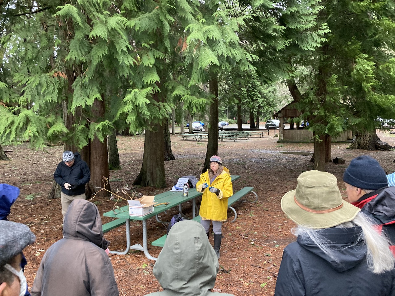 Marianne sharing about madrone