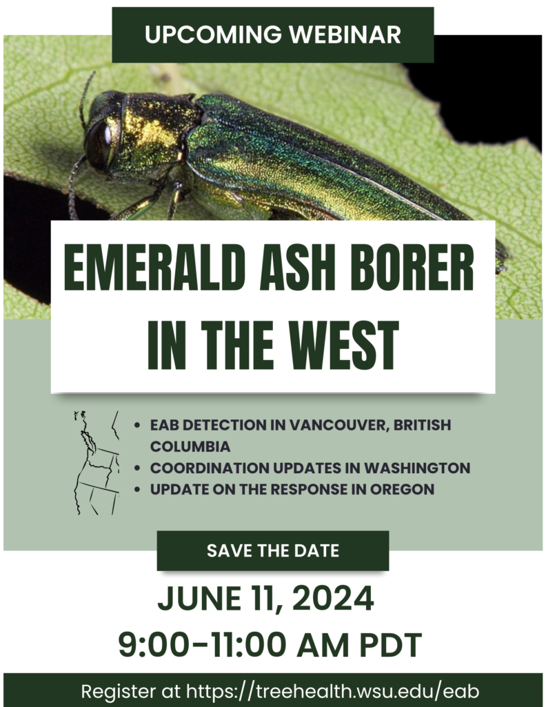 EAB in the West Webinar Flyer
