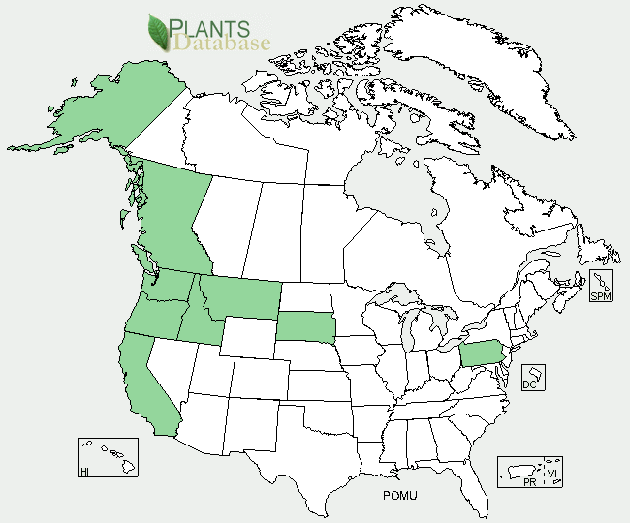 Map of Western Sword Fern Distribution. Image from National Plant Data Team.