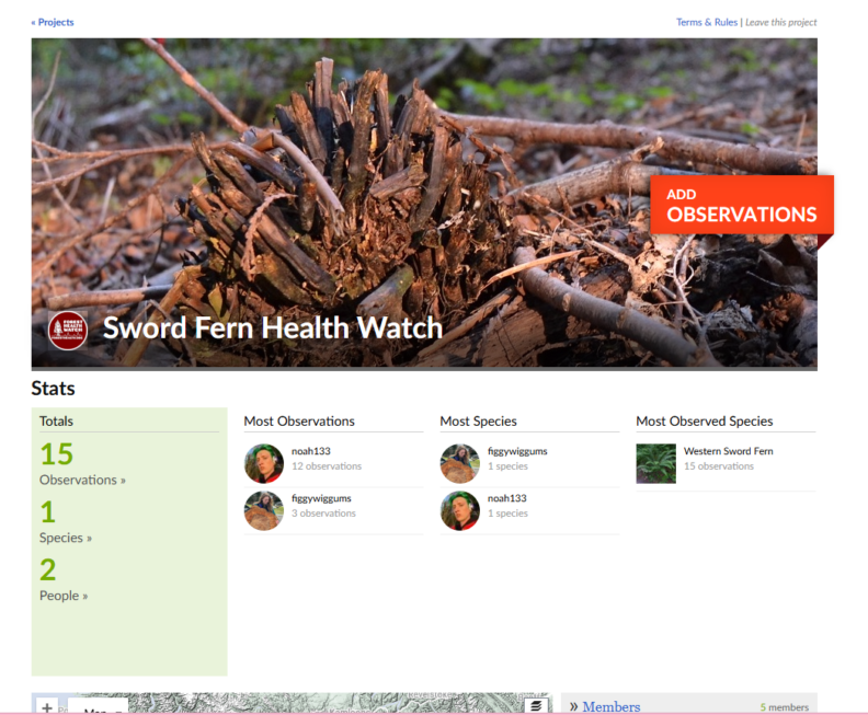 Sword Fern Health Watch (Links to iNaturalist page)
