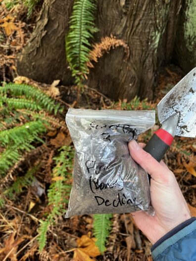 Bag of collected soil. Image from J.Hulbert