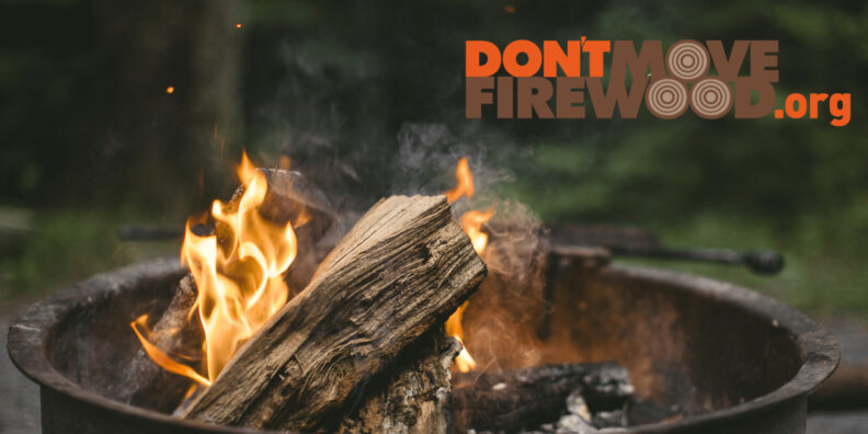 Don't move firewood awareness sign