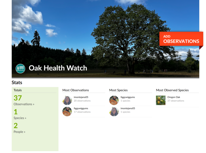 Oak Health Watch iNaturalist page