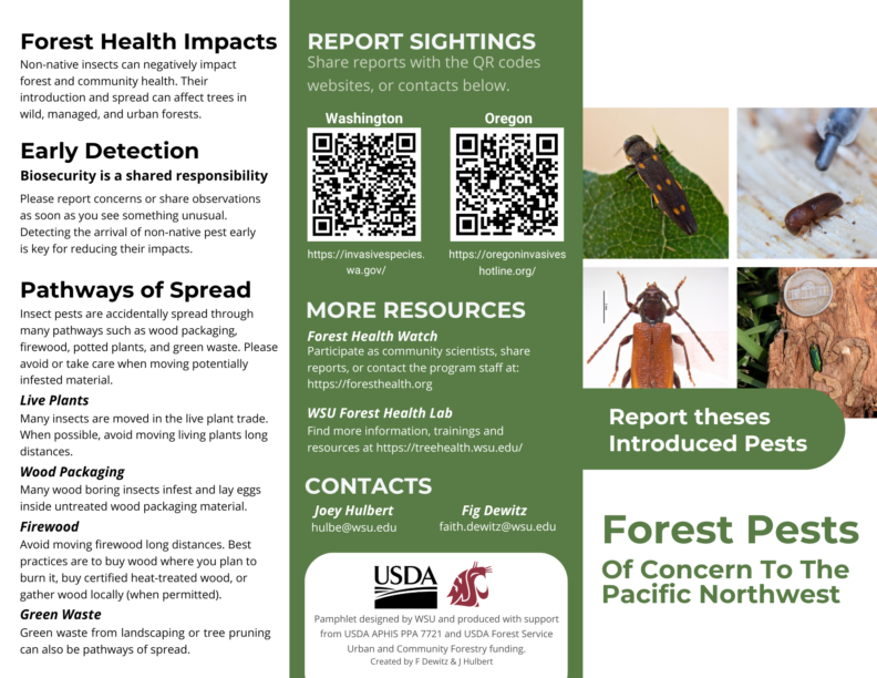Forest Pests of Concern to the Pacific Northwest page 1 of trifold