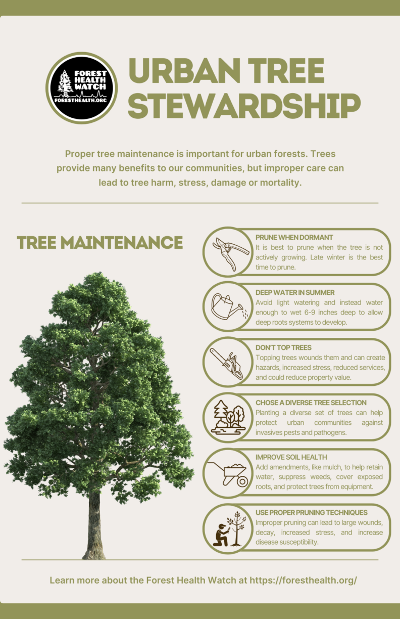 Urban Tree Stewardship flyer