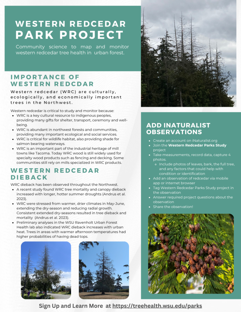 Western Redcedar Parks Project flyer