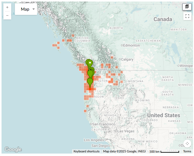 Western Redcedar Dieback Map iNaturalist observation map