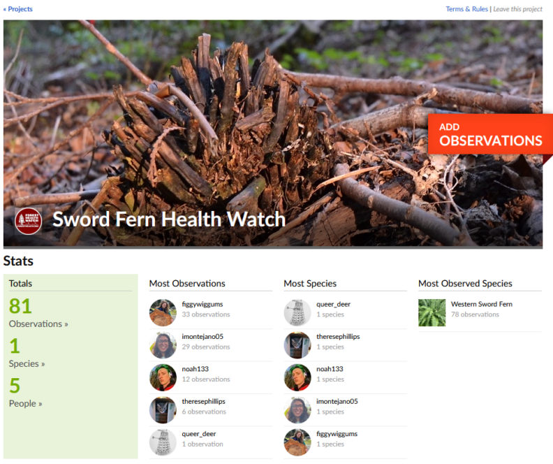 Sword Fern Health Watch iNaturalist homepage