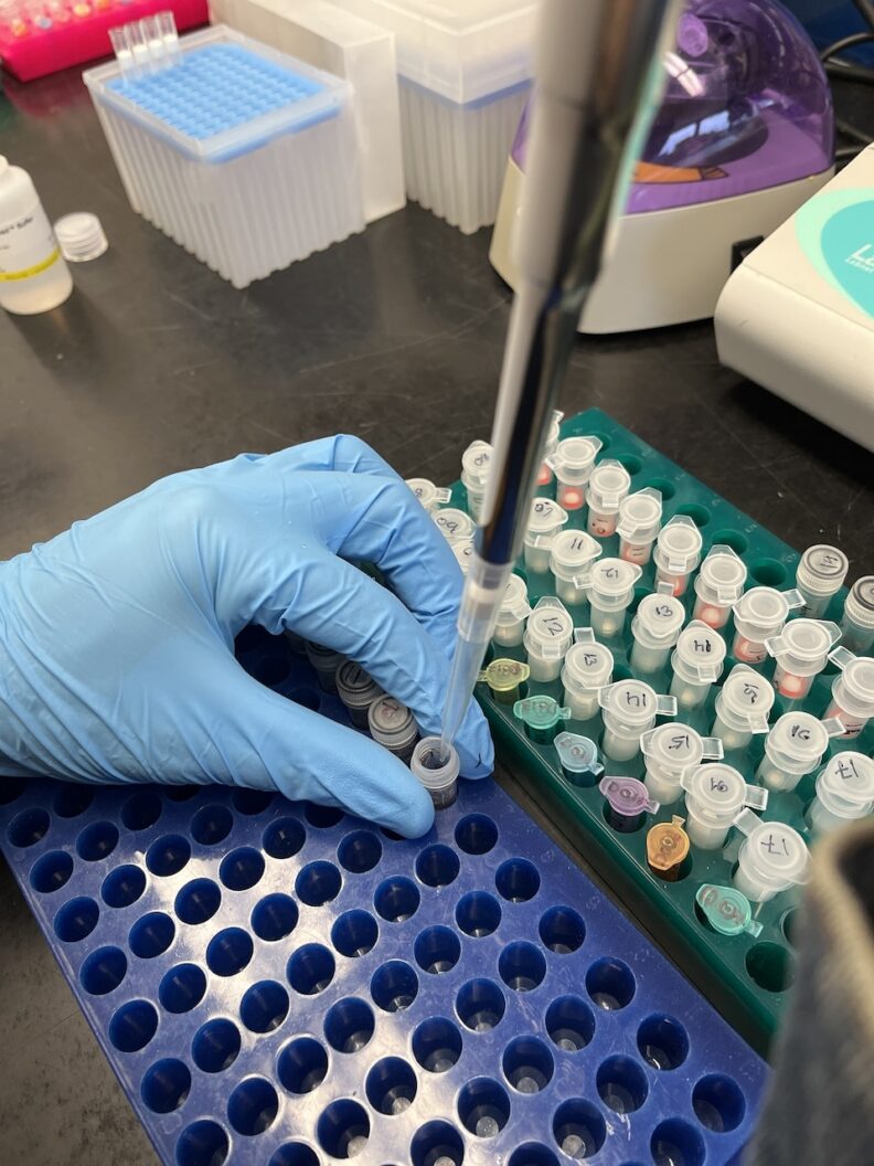 DNA Extraction from sample