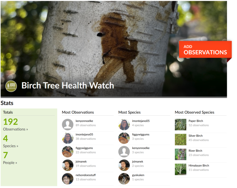 Birch Tree Health Watch homepage image