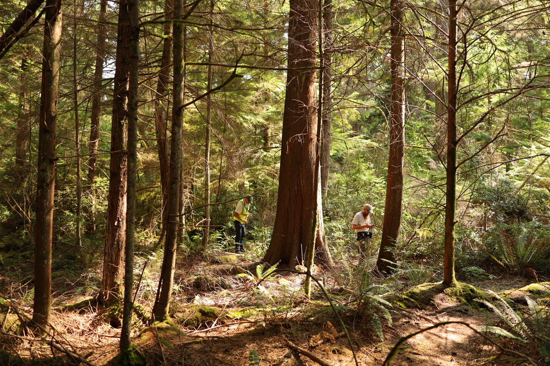 Community scientists in Point Defiance