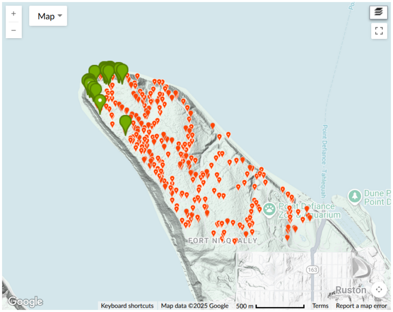 Western Redcedar Parks Study  observation map